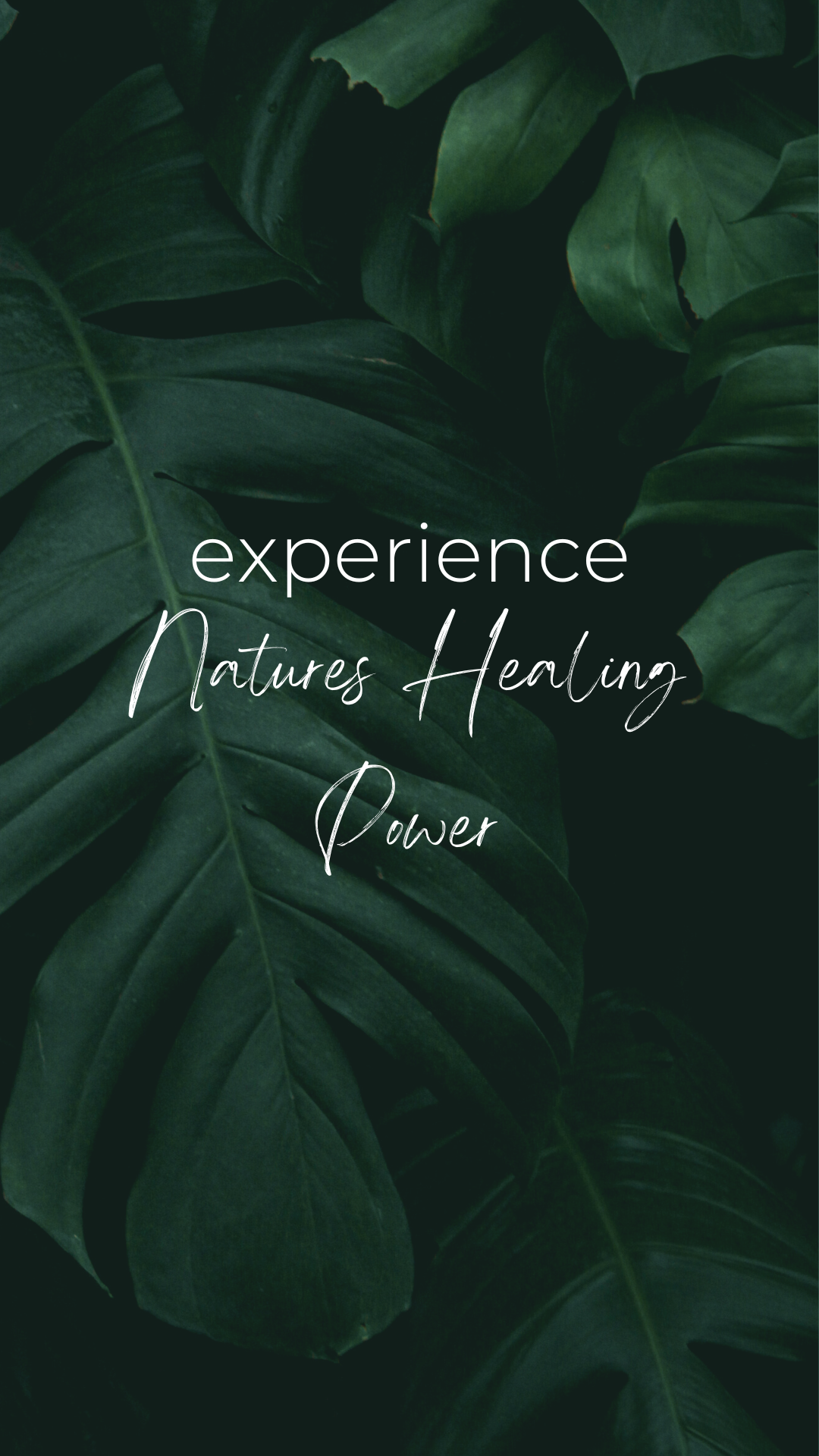 Experience Natures Healing Power with Hooda Health